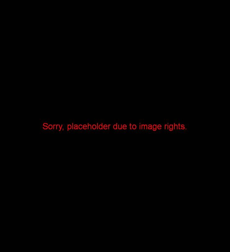 visser1