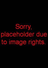 schunck paint it soft 2travel2