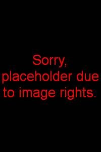 Macau Nightview of mtower