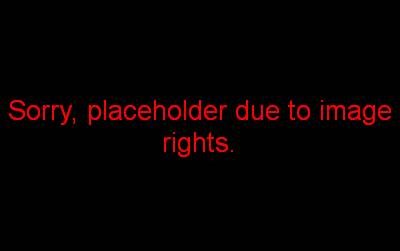 Viladrau in de regio Osana