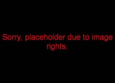 Champagne wijnstreek