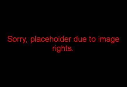 logo park hotel de wiemsel